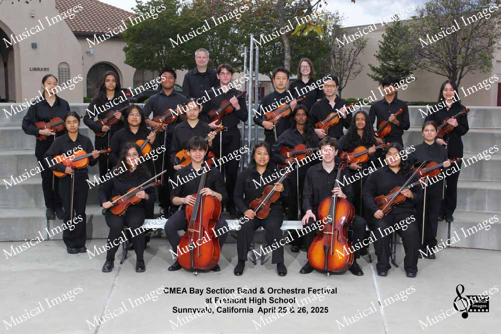 Musical Images